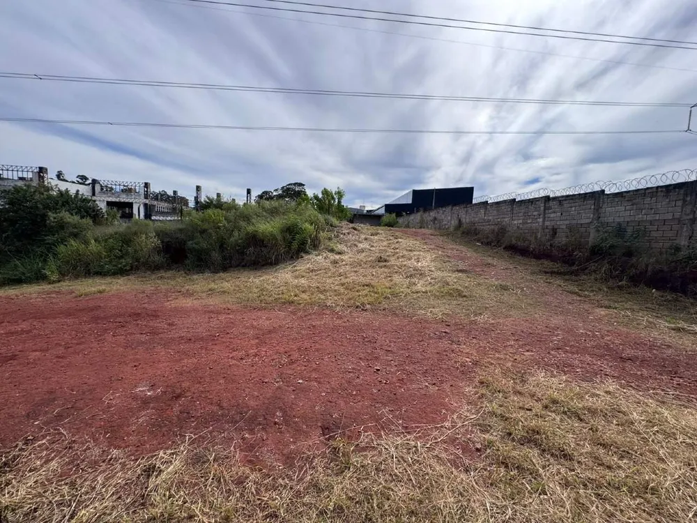 Terreno, 5000 m² - Foto 3