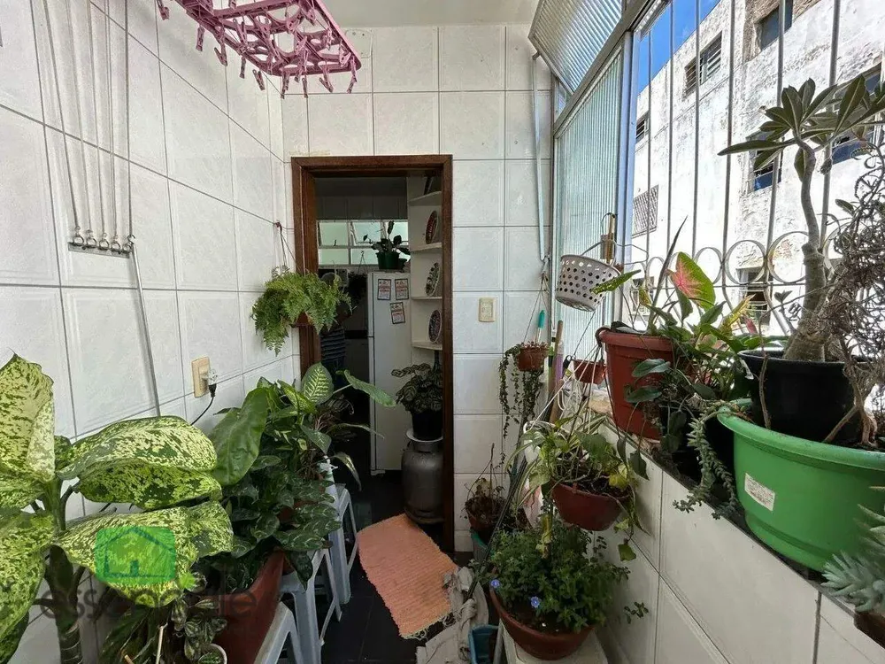 Apartamento, 3 quartos, 66 m² - Foto 6