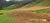 Fazenda, 450 hectares - Foto 5