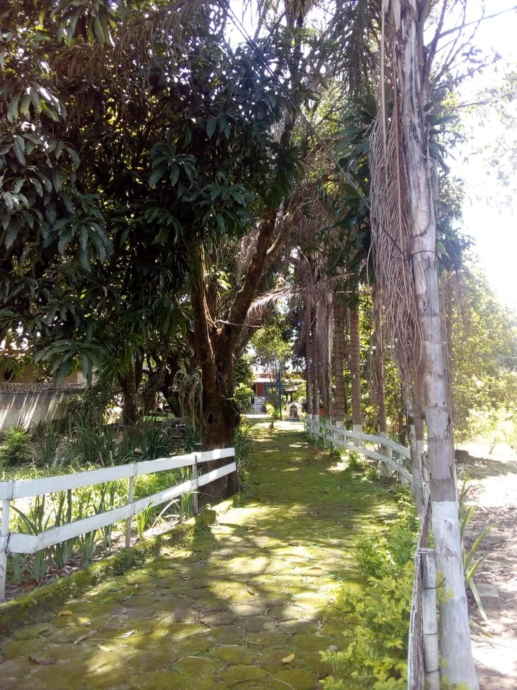 Chácara, 3 quartos - Foto 19