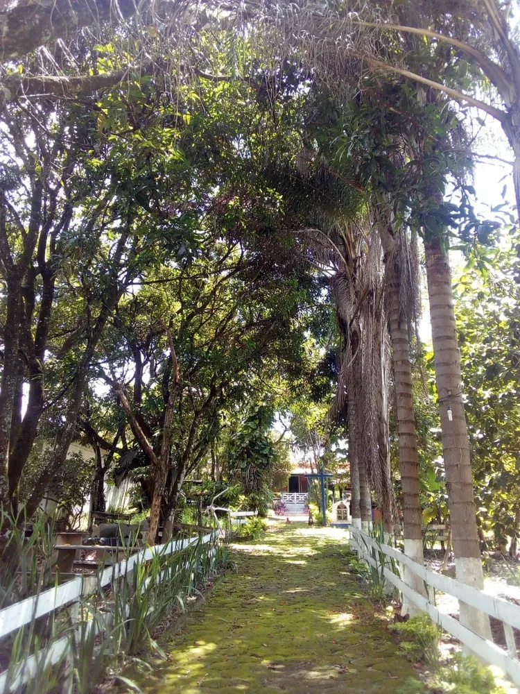 Chácara, 3 quartos - Foto 10