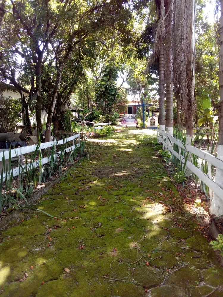 Chácara, 3 quartos - Foto 3