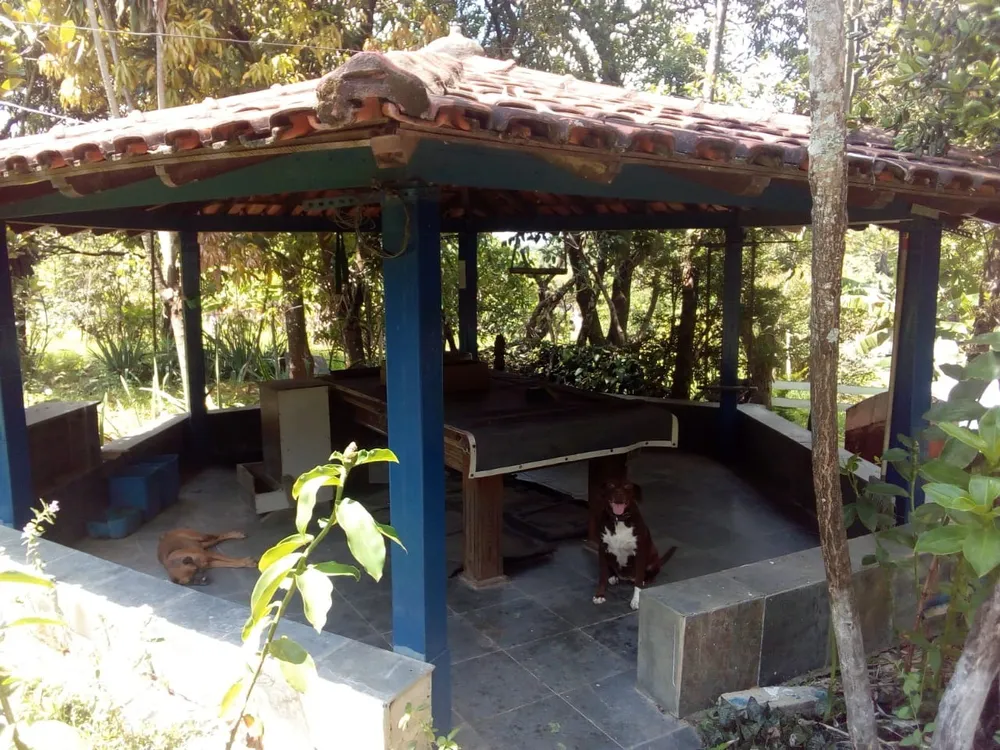 Chácara, 3 quartos - Foto 6