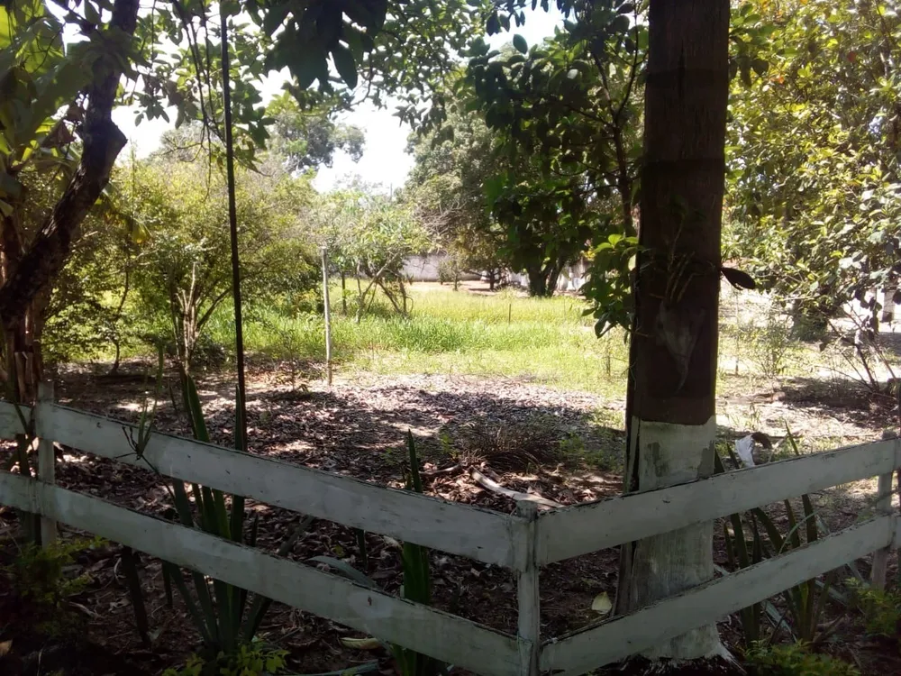 Chácara, 3 quartos - Foto 7