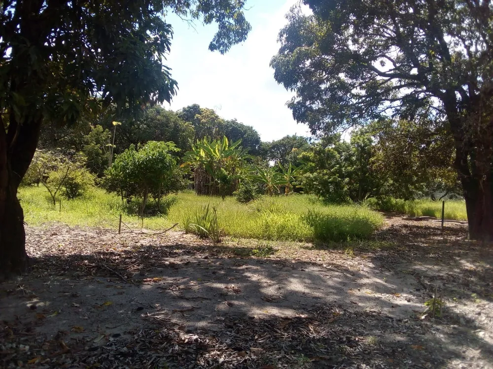 Chácara, 3 quartos - Foto 20