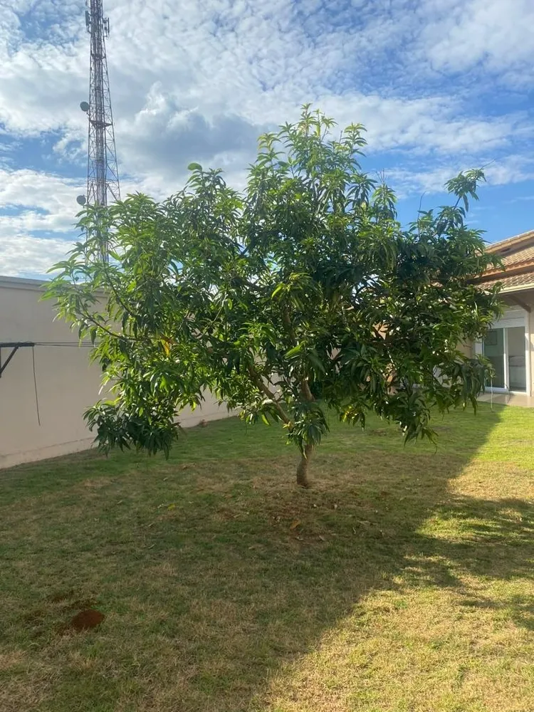 Casa, 4 quartos, 300 m² - Foto 12