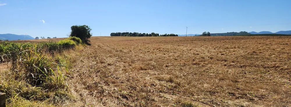 Fazenda, 41 hectares - Foto 9