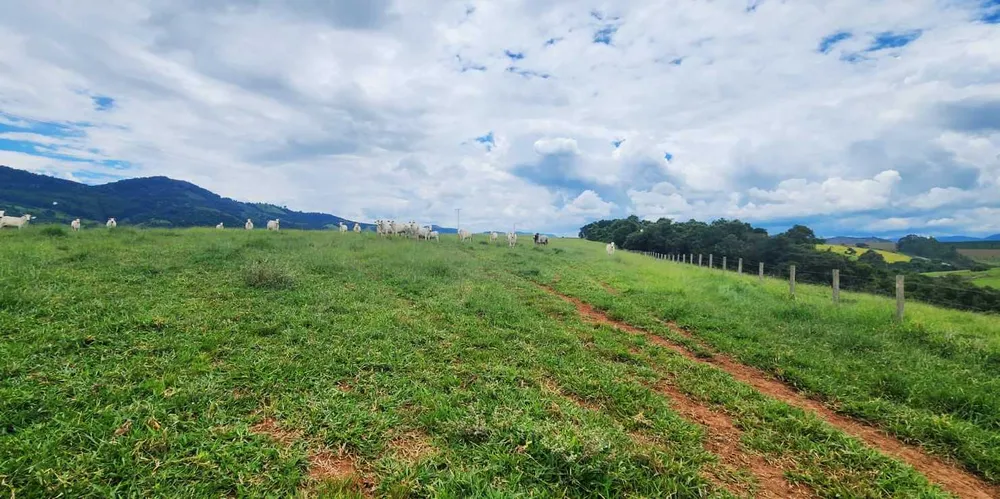 Fazenda, 41 hectares - Foto 7