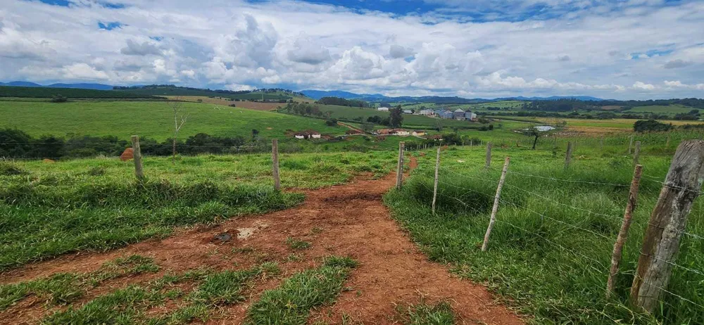 Fazenda, 41 hectares - Foto 8