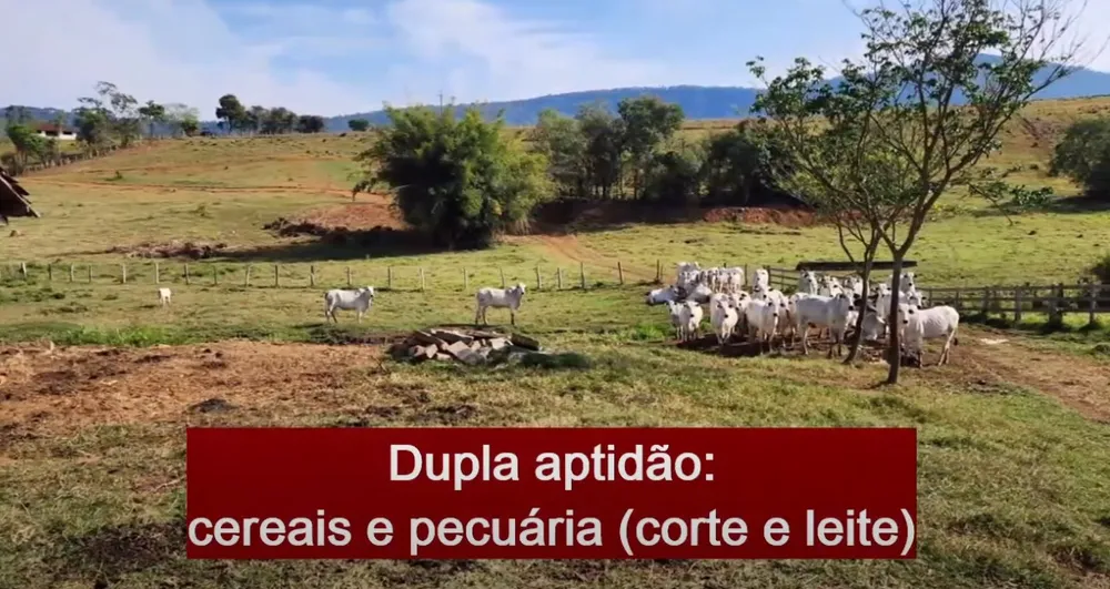 Fazenda, 41 hectares - Foto 18