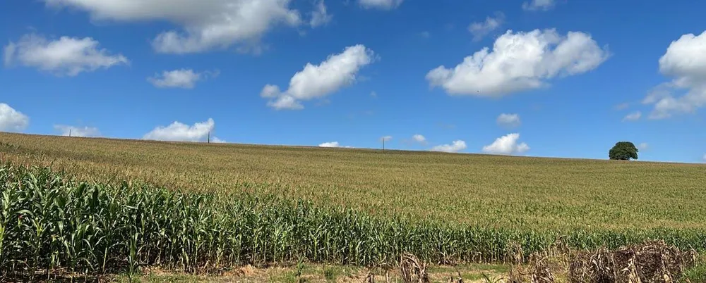 Fazenda, 41 hectares - Foto 3