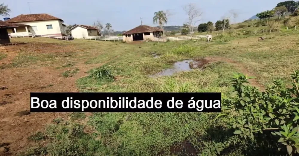 Fazenda, 41 hectares - Foto 17