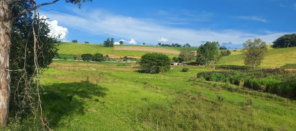 Fazenda, 41 hectares - Foto 1