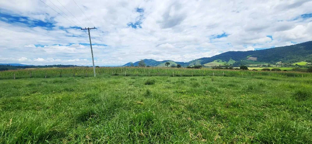 Fazenda, 41 hectares - Foto 4