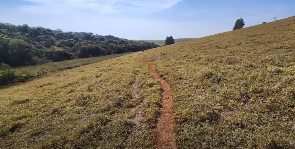 Fazenda, 41 hectares - Foto 12