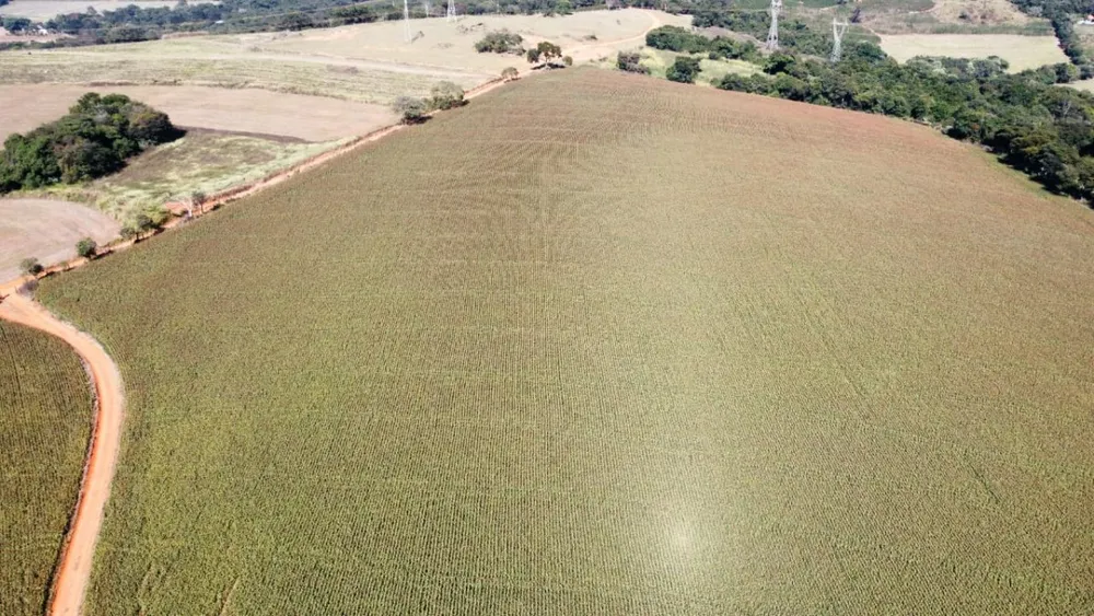 Sítio, 1 quarto, 47000 m² - Foto 6