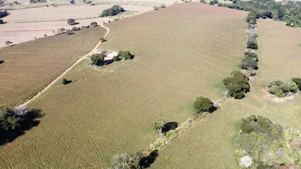 Sítio, 1 quarto, 47000 m² - Foto 2