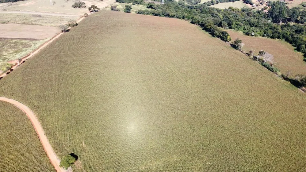 Sítio, 1 quarto, 47000 m² - Foto 5
