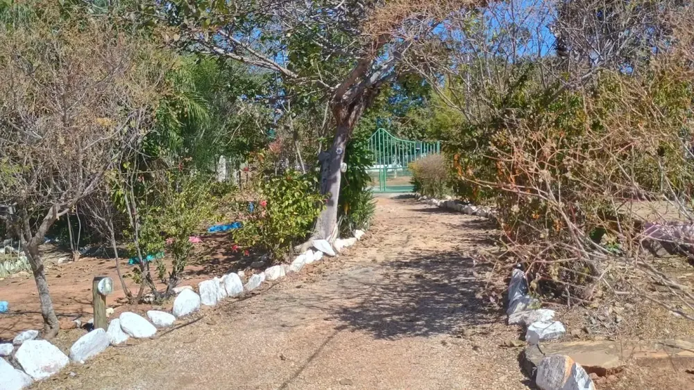 Chácara, 6 quartos - Foto 4