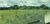 Fazenda, 133 hectares - Foto 3