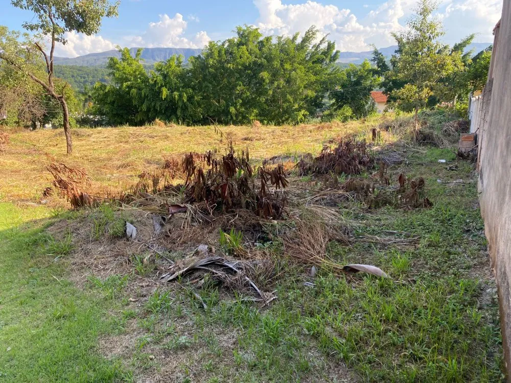 Terreno, 1290 m² - Foto 3