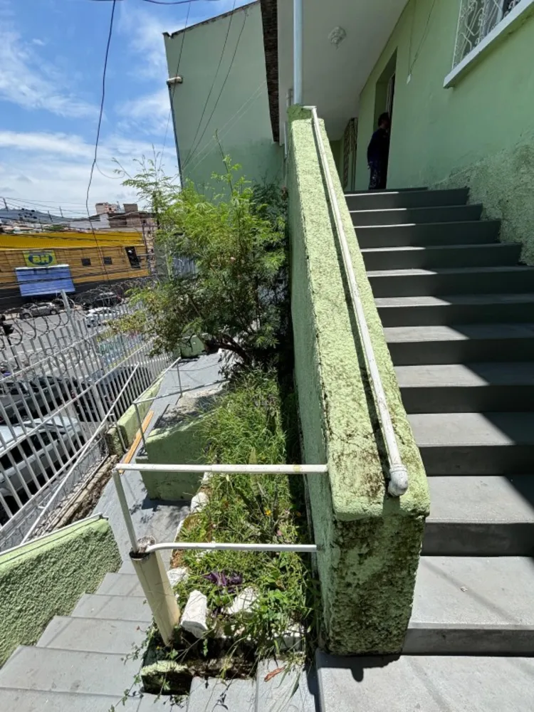 Casa, 4 quartos, 360 m² - Foto 5