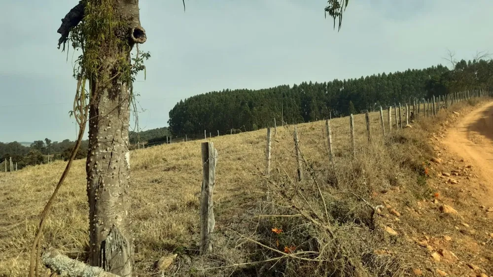Fazenda, 80 hectares - Foto 11
