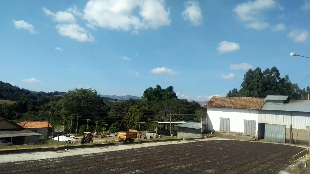Fazenda, 80 hectares - Foto 8