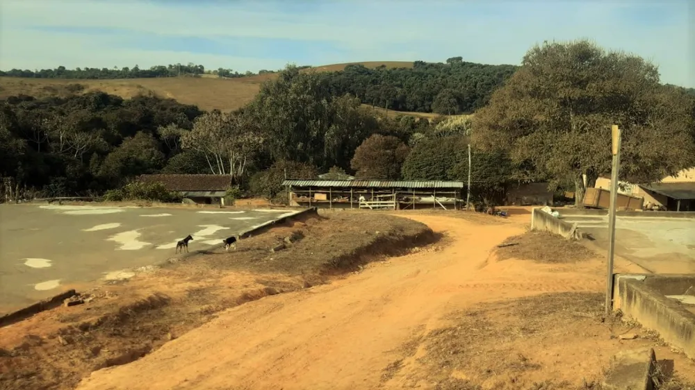 Fazenda, 80 hectares - Foto 10