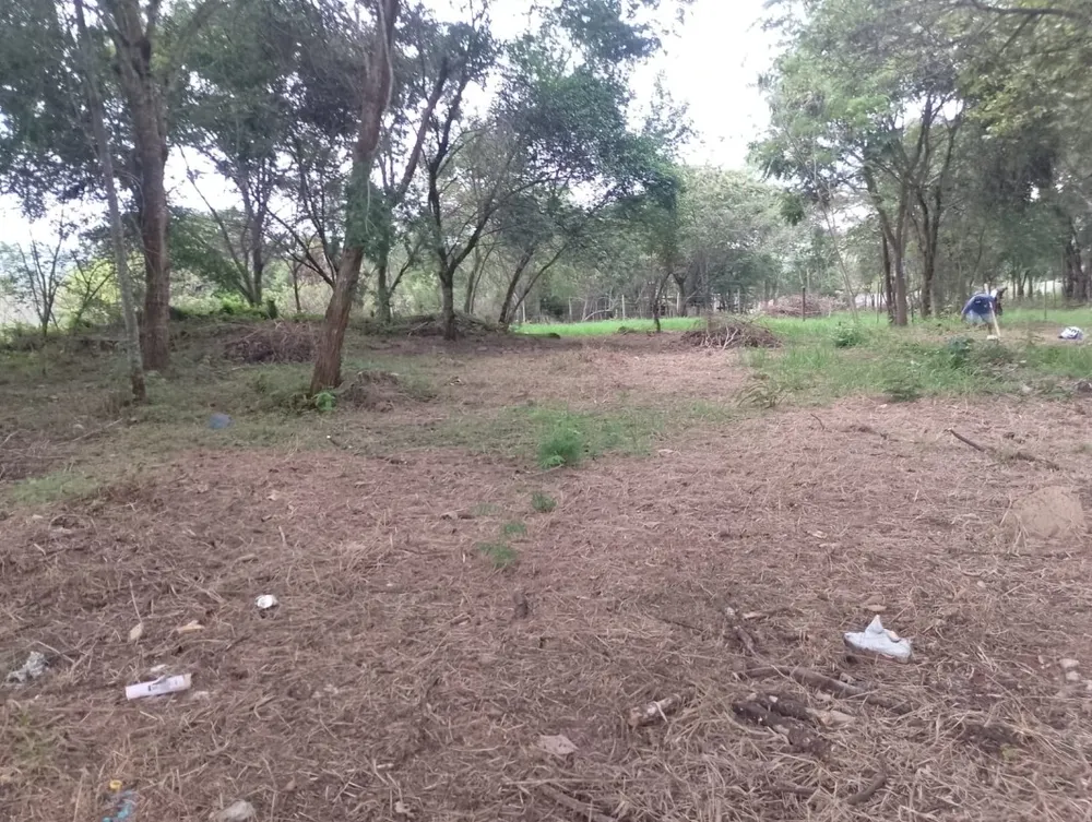 Terreno, 1500 m² - Foto 5
