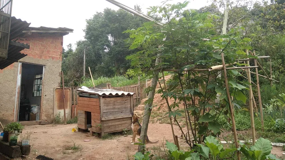 Casa, 3 quartos, 2830 m² - Foto 8