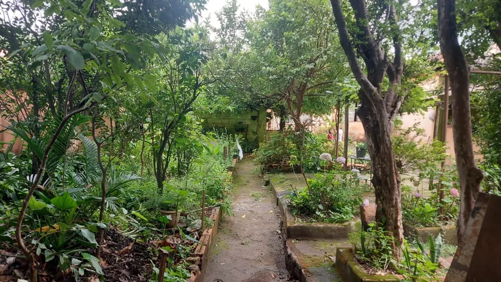 Casa, 4 quartos, 600 m² - Foto 11