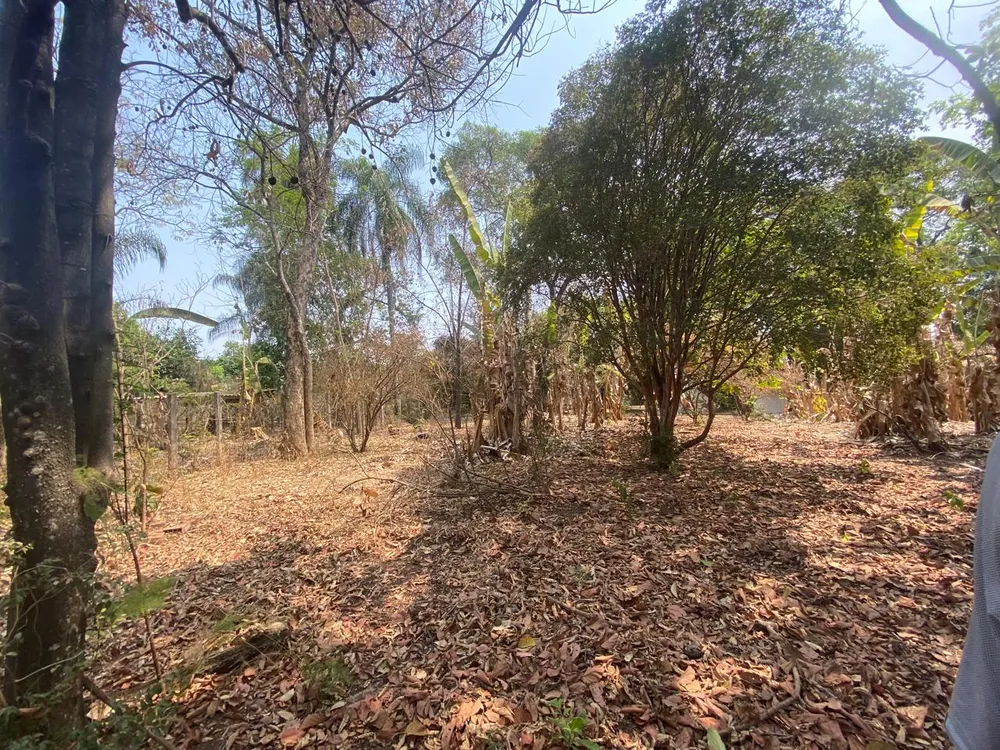 Terreno, 2497 m² - Foto 6