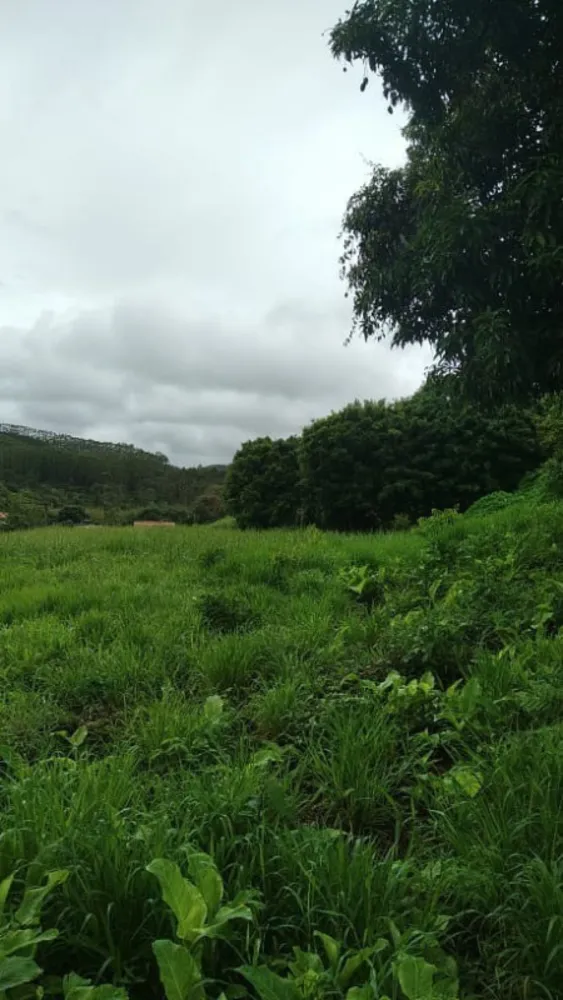 Terreno, 633 m² - Foto 7