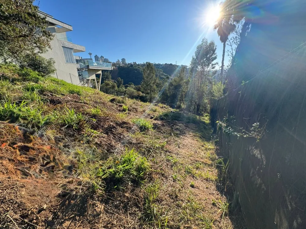 Terreno, 1202 m² - Foto 3