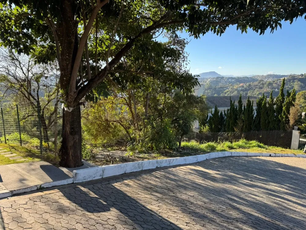Terreno, 1202 m² - Foto 6