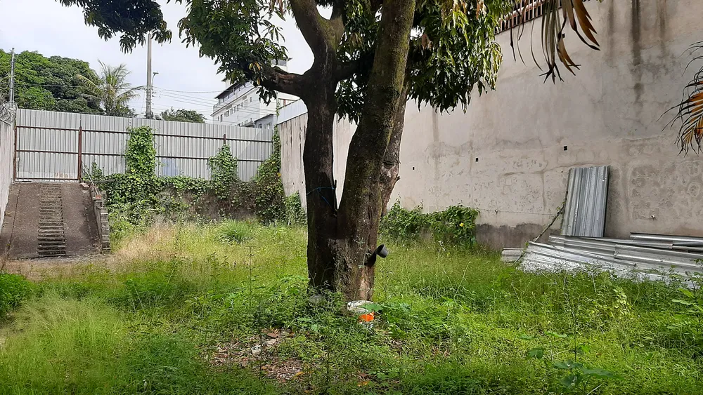 Terreno - Foto 2
