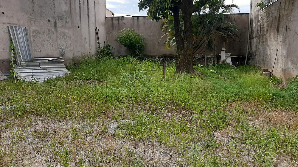 Terreno - Foto 3