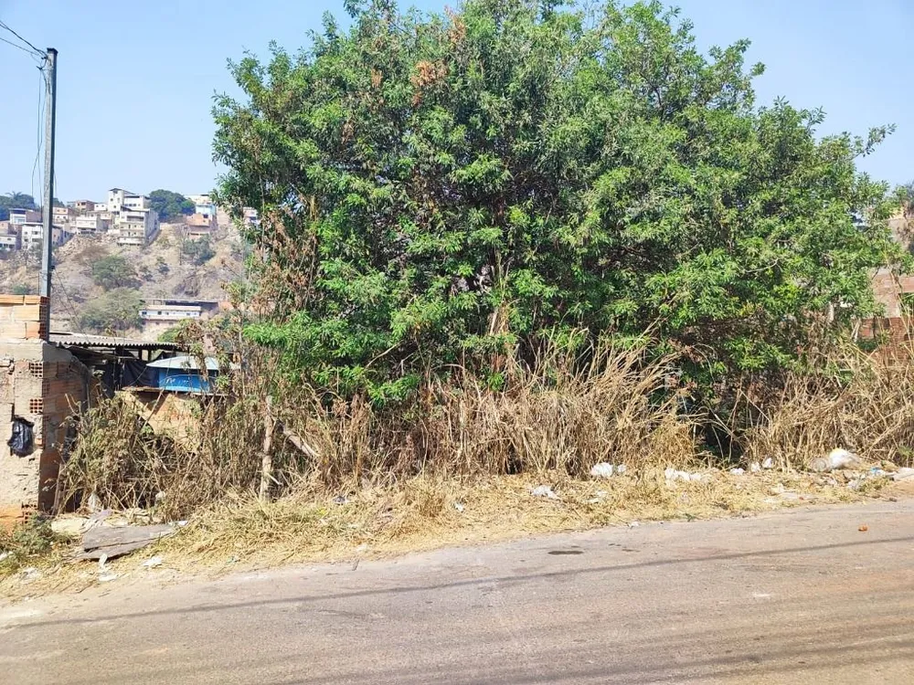Terreno, 360 m² - Foto 5