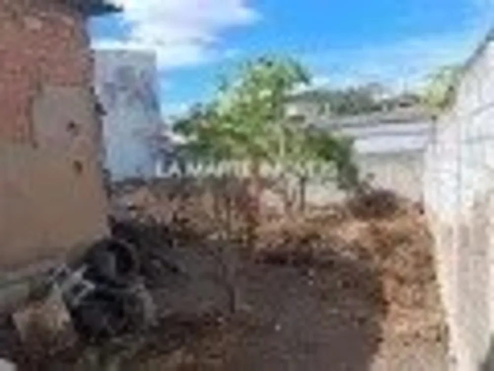 Casa, 2 quartos, 530 m² - Foto 7