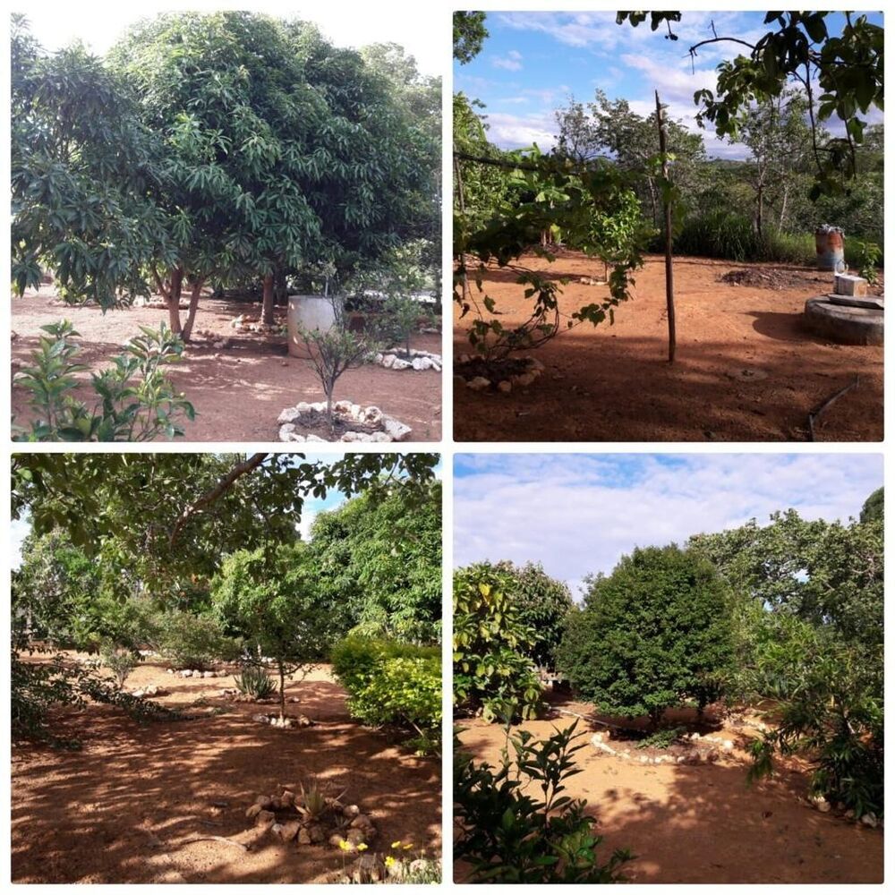 Sítio à venda com 3 quartos, 5000m² - Foto 3