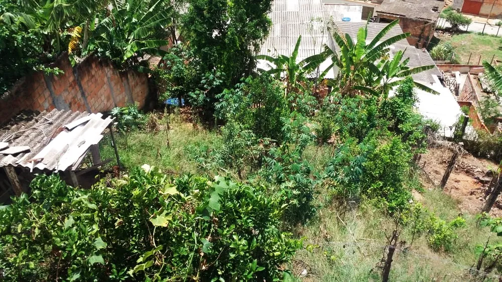 Casa, 3 quartos, 200 m² - Foto 8