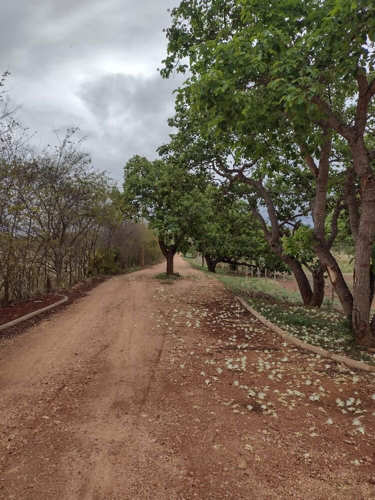 Chácara à venda com 1 quarto - Foto 1