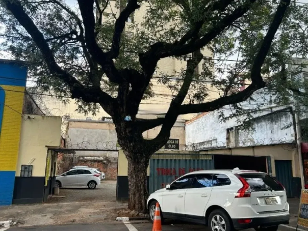 Terreno, 300 m² - Foto 10