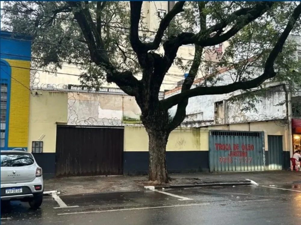 Terreno, 300 m² - Foto 11