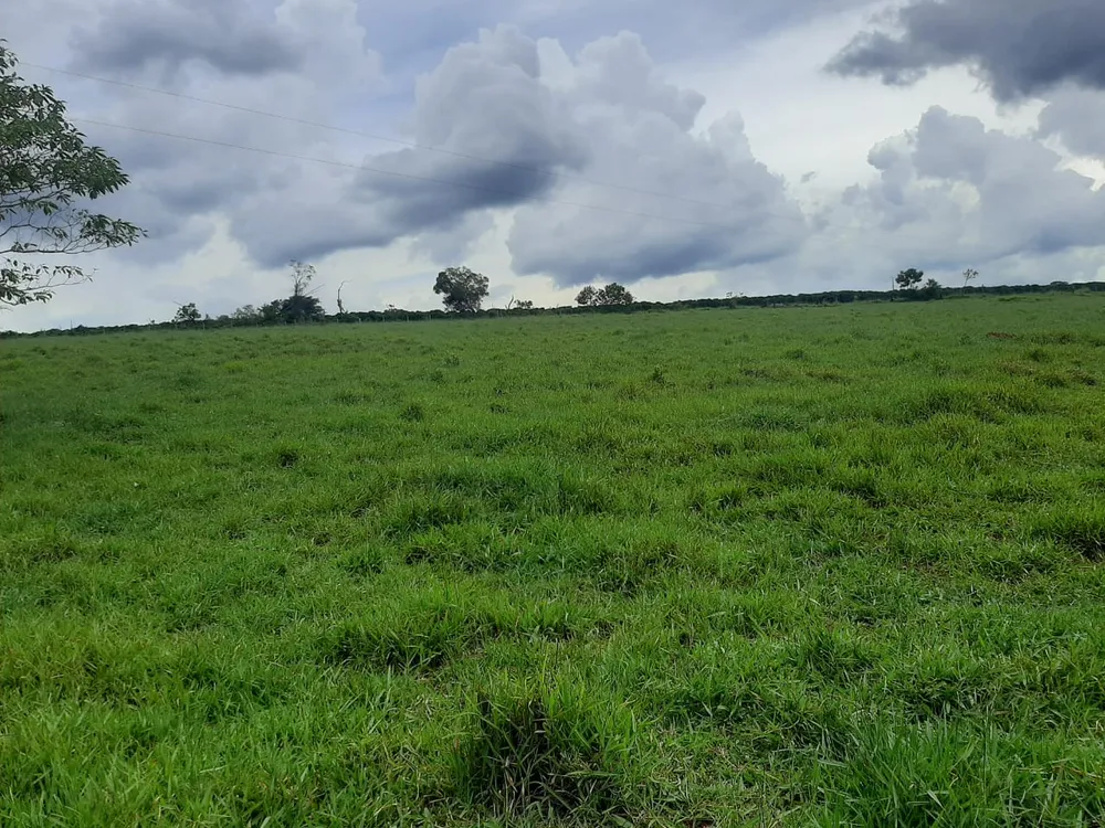 Chácara, 1 quarto - Foto 1