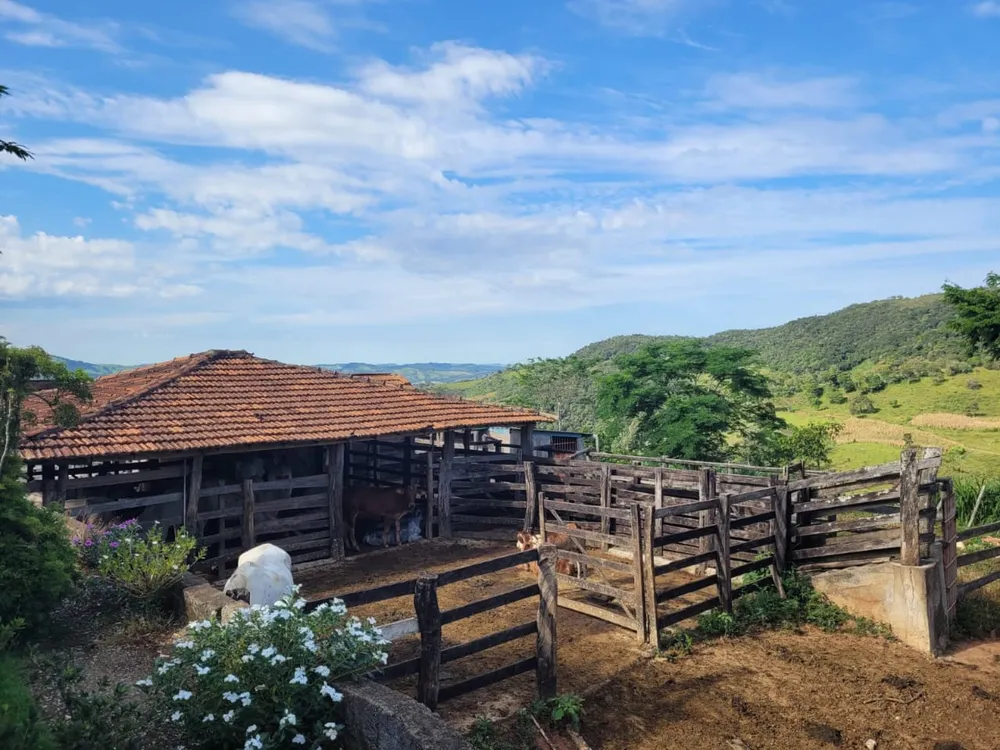 Fazenda, 42 hectares - Foto 3