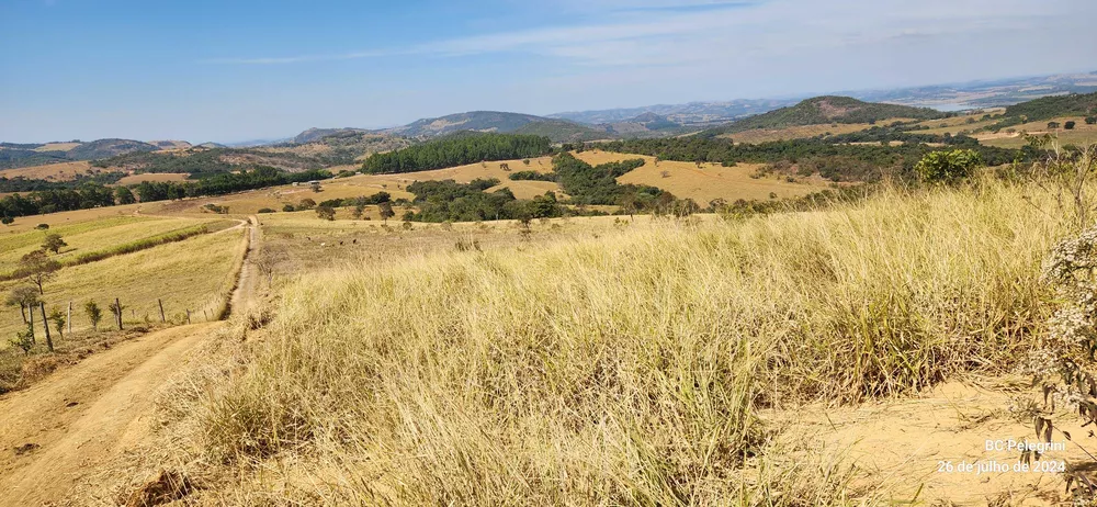 Chácara à venda com 5 quartos, 6000000m² - Foto 3