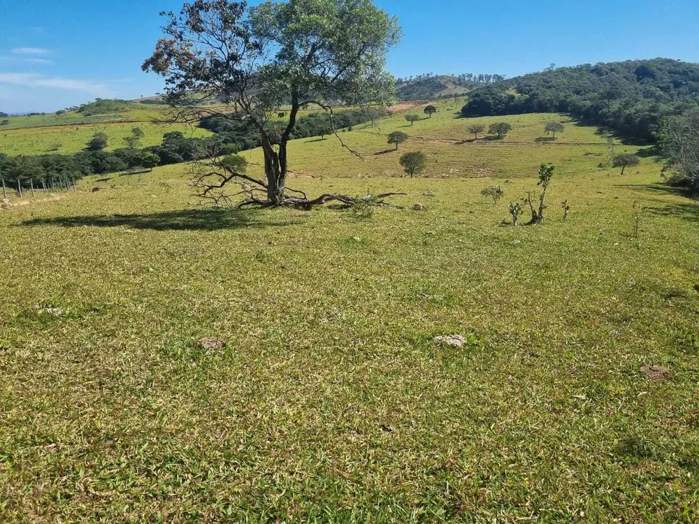 Chácara à venda com 5 quartos, 6000000m² - Foto 15