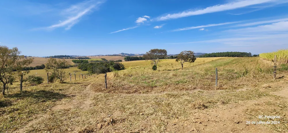 Chácara à venda com 5 quartos, 6000000m² - Foto 6